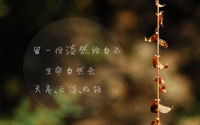 畢業相冊，最后的留戀